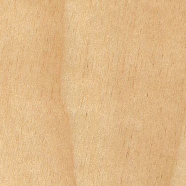Birch
